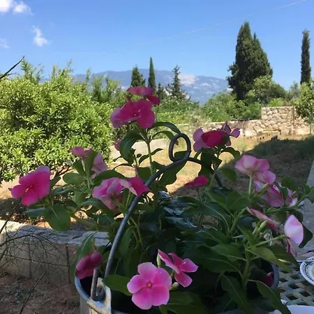 Viva S Apartment 5 Mins From Beach In Kefalonia!